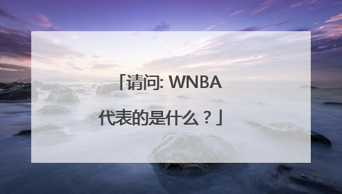 请问: WNBA代表的是什么？