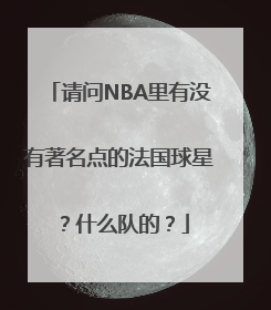 请问NBA里有没有著名点的法国球星？什么队的？