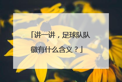 讲一讲，足球队队徽有什么含义？