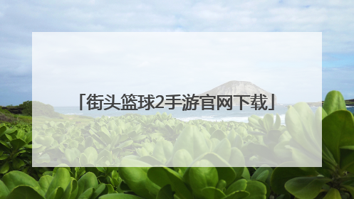 「街头篮球2手游官网下载」街头篮球2扣篮手游官网