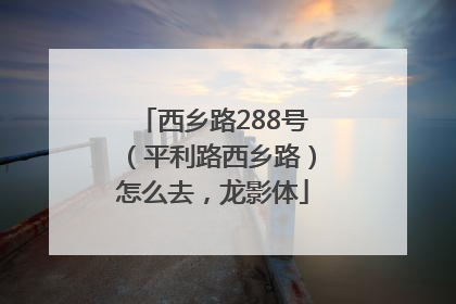 西乡路288号（平利路西乡路）怎么去，龙影体