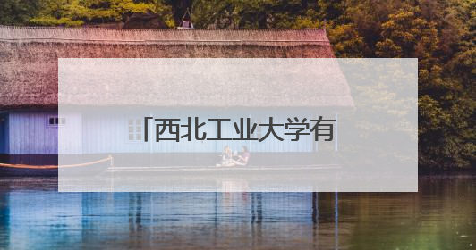 西北工业大学有哪些教授的课是必须要去蹭的？