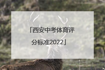 西安中考体育评分标准2022