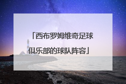 西布罗姆维奇足球俱乐部的球队阵容