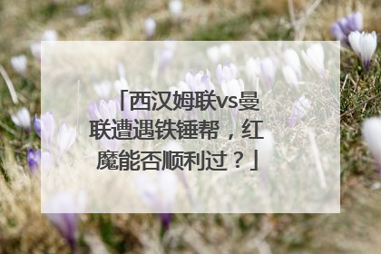 西汉姆联vs曼联遭遇铁锤帮，红魔能否顺利过？