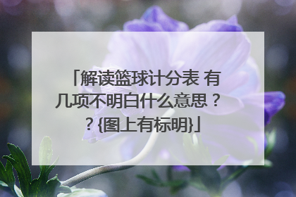 解读篮球计分表 有几项不明白什么意思？？{图上有标明}