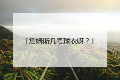 詹姆斯几号球衣呀？