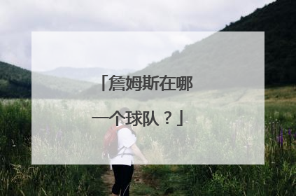 詹姆斯在哪一个球队？