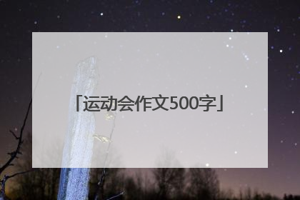 运动会作文500字