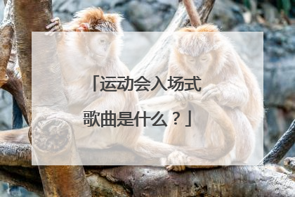 运动会入场式歌曲是什么？