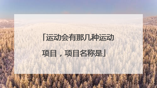 运动会有那几种运动项目，项目名称是