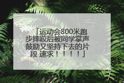 运动会800米跑步摔跤后被同学掌声鼓励又坚持下去的片段 速求！！！！