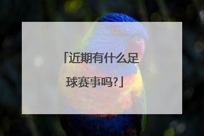 近期有什么足球赛事吗?