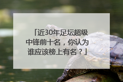 近30年足坛超级中锋前十名，你认为谁应该榜上有名？