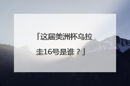 这届美洲杯乌拉圭16号是谁？