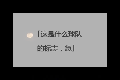 这是什么球队的标志，急