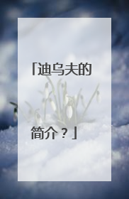 迪乌夫的简介？