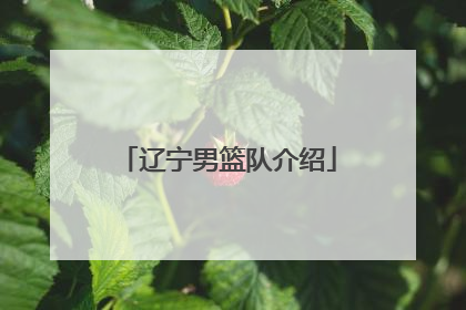 辽宁男篮队介绍