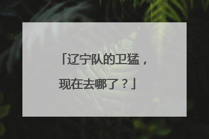 辽宁队的卫猛，现在去哪了？