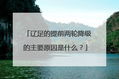 辽足的提前两轮降级的主要原因是什么？