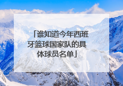 谁知道今年西班牙篮球国家队的具体球员名单