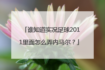 谁知道实况足球2011里面怎么弄内马尔？