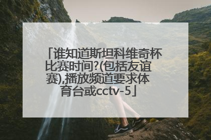 谁知道斯坦科维奇杯比赛时间?(包括友谊赛),播放频道要求体育台或cctv-5