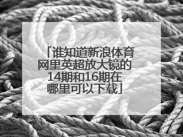 谁知道新浪体育网里英超放大镜的14期和16期在哪里可以下载