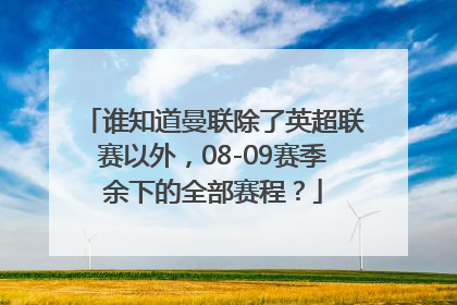 谁知道曼联除了英超联赛以外，08-09赛季余下的全部赛程？