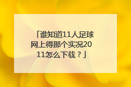 谁知道11人足球网上得那个实况2011怎么下载？