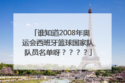 谁知道2008年奥运会西班牙篮球国家队队员名单呀？？？？