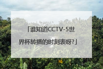 谁知道CCTV-5世界杯转播的时刻表呀?