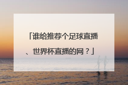 谁给推荐个足球直播、世界杯直播的网？