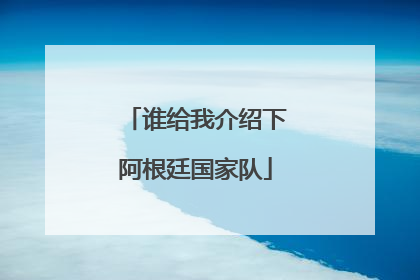 谁给我介绍下阿根廷国家队