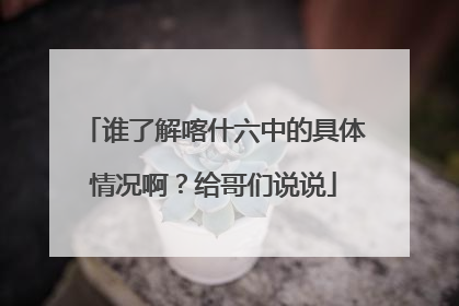 谁了解喀什六中的具体情况啊？给哥们说说