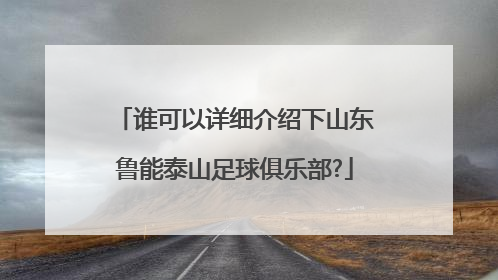 谁可以详细介绍下山东鲁能泰山足球俱乐部?