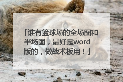 谁有篮球场的全场图和半场图，最好是word版的，做战术板用！