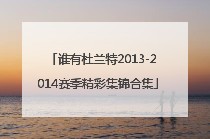 谁有杜兰特2013-2014赛季精彩集锦合集