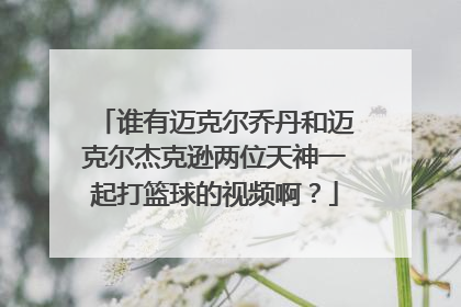 谁有迈克尔乔丹和迈克尔杰克逊两位天神一起打篮球的视频啊？