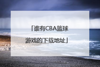 谁有CBA篮球游戏的下载地址