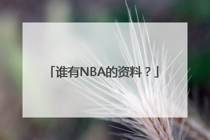 谁有NBA的资料？