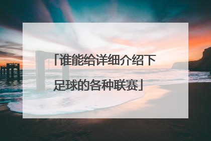 谁能给详细介绍下足球的各种联赛