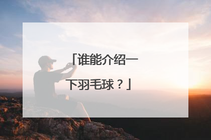 谁能介绍一下羽毛球？