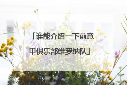 谁能介绍一下前意甲俱乐部维罗纳队