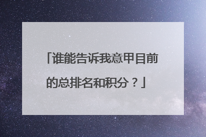 谁能告诉我意甲目前的总排名和积分？