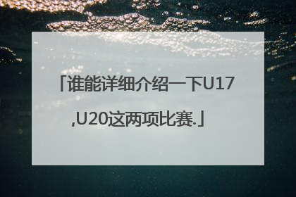 谁能详细介绍一下U17,U20这两项比赛.