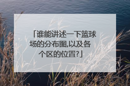 谁能讲述一下篮球场的分布图,以及各个区的位置?