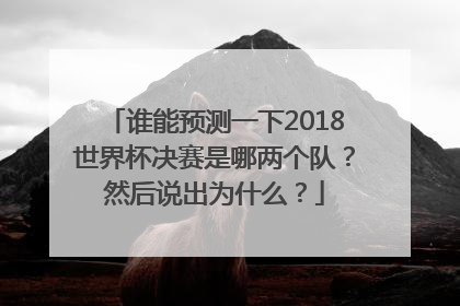 谁能预测一下2018世界杯决赛是哪两个队？然后说出为什么？