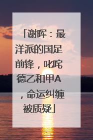 谢晖：最洋派的国足前锋，叱咤德乙和甲A，命运纠缠被质疑