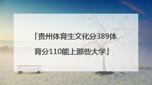 贵州体育生文化分389体育分110能上那些大学